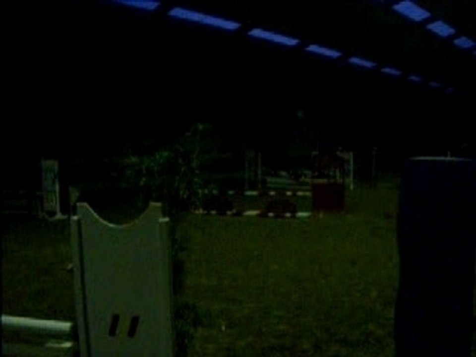 manege 274