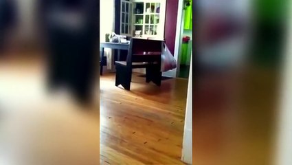 #Top10 Fails of the Week | Friday, April 4th, 2014