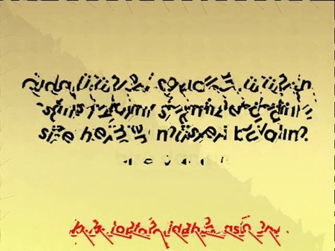 Toptan Hurma Fiyatları,Toptan Medine Hurması,Toptan Hurma Satışı,Toptan Hurma