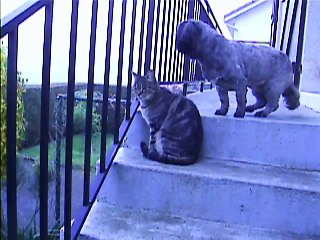 et voilà,Jaudy s'est pris une baffe