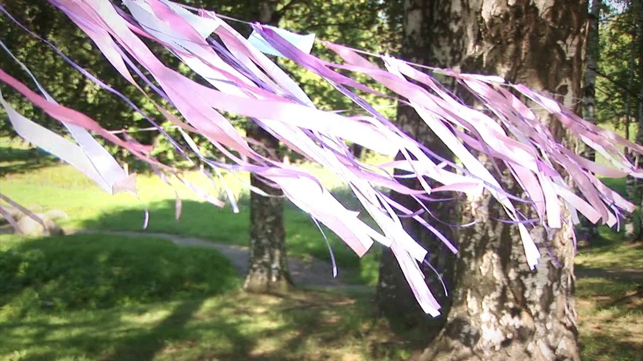 Свадебный клип Сергея и Дарьи