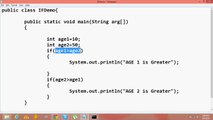java programming tutorial  14 condition if statement  in (sindhi)
