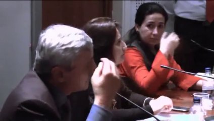 Jahangir Khan Tareen With PTI UK Q & A session