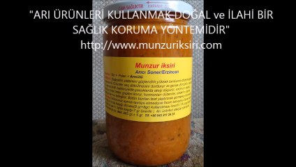 Kedi birden Ninja'ya dönüştü