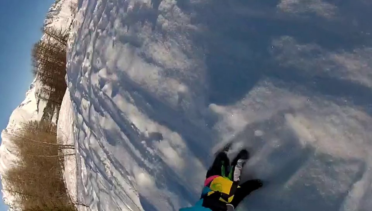 Skibus 22 février 2014
