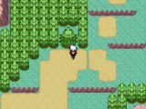 Pokémon Saphir 6) L'oni des cendres
