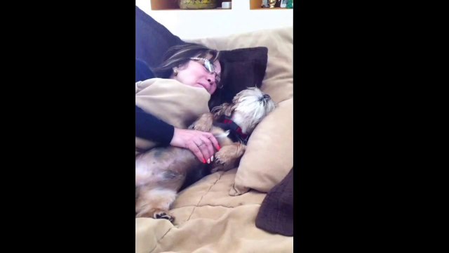 Cute Dog Cries for His Mommy