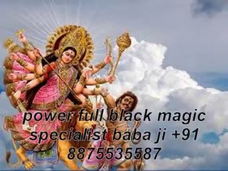 love marriage specialist astrologer +91-8875535587
