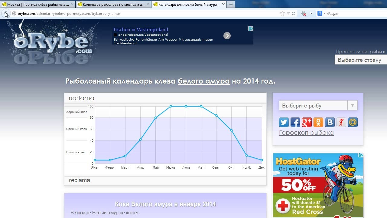 Вот это рыбалка. Секрет успешной рыбалки в прогнозе клева рыбы!