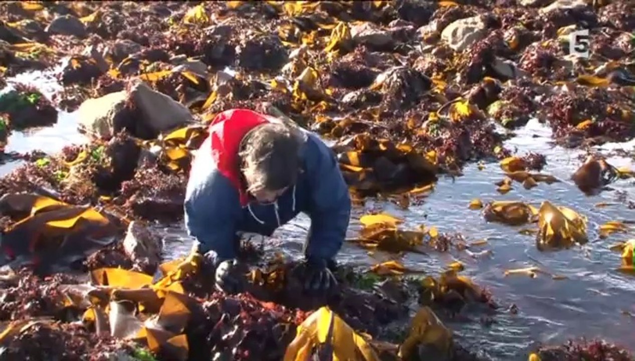 Terre des mondes_Les îles bretonnes