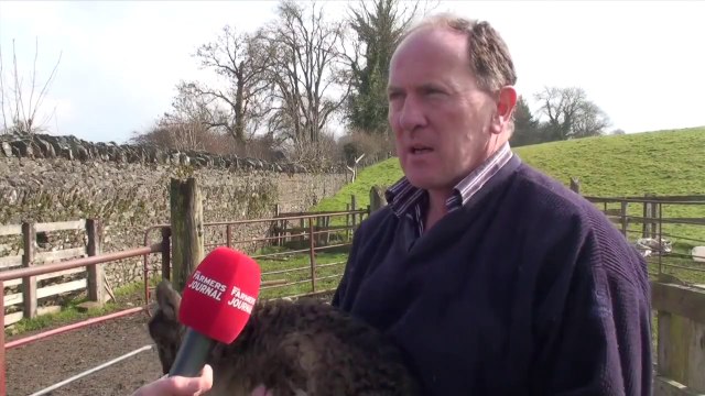 Moitié chèvre, moitié mouton... Un nouvel animal est né!