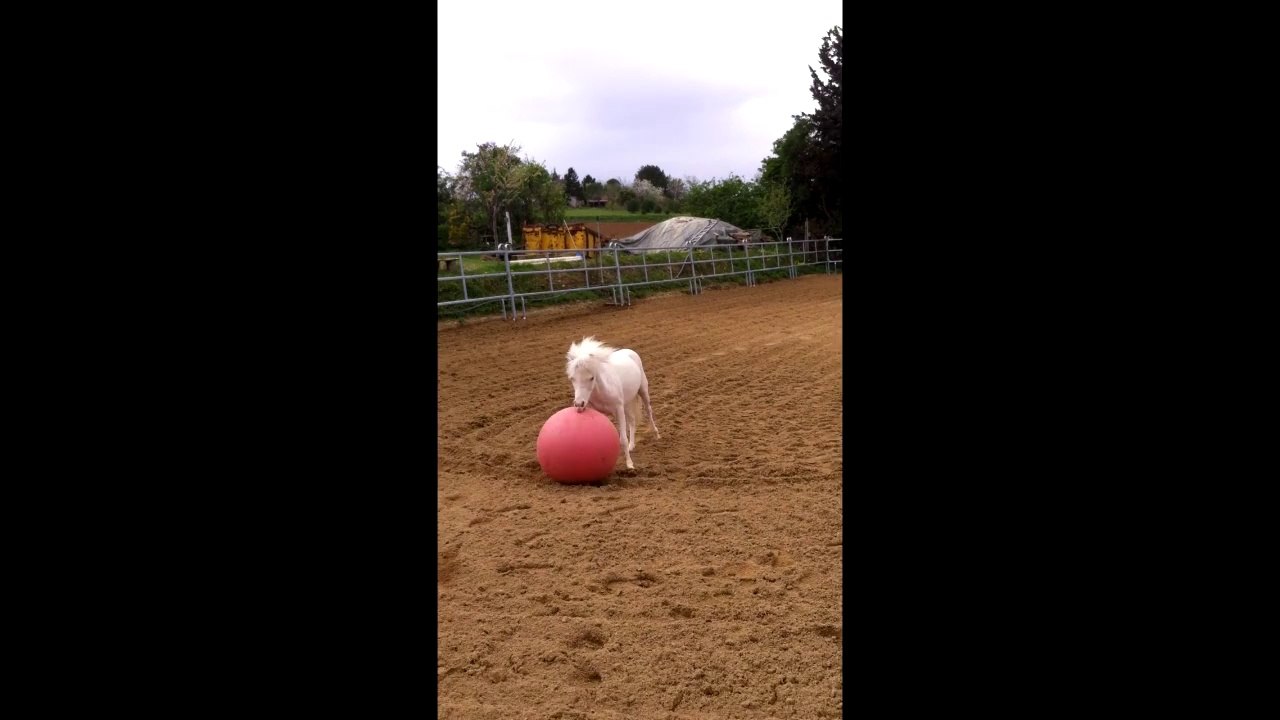 AAZURO le footballeur