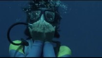 Female diver runs out of air - Scuba fight!