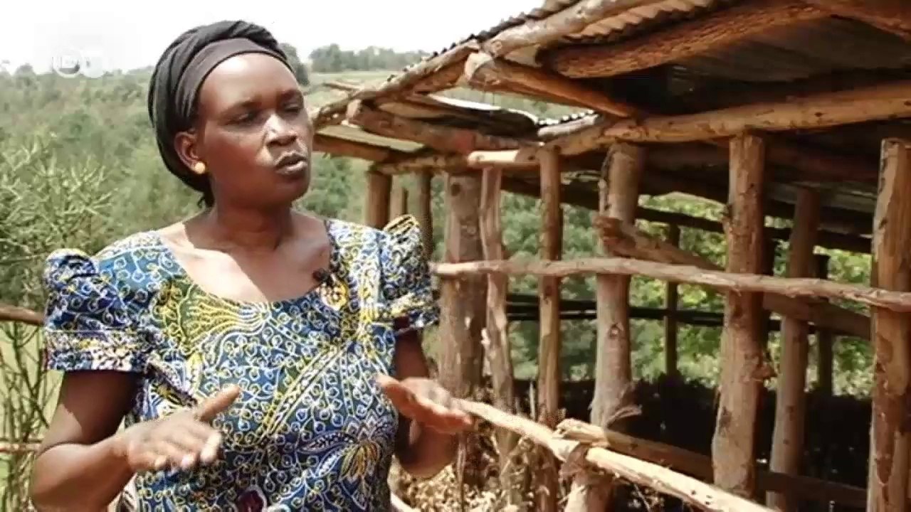 Ruanda 20 Jahre nach dem Genozid | Journal Reporter