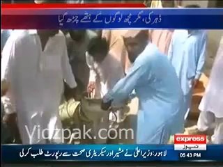 8 Feet Long Crocodile Caught in Ghotki