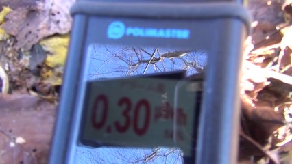 2014年春　セシウム積もる公園で花見