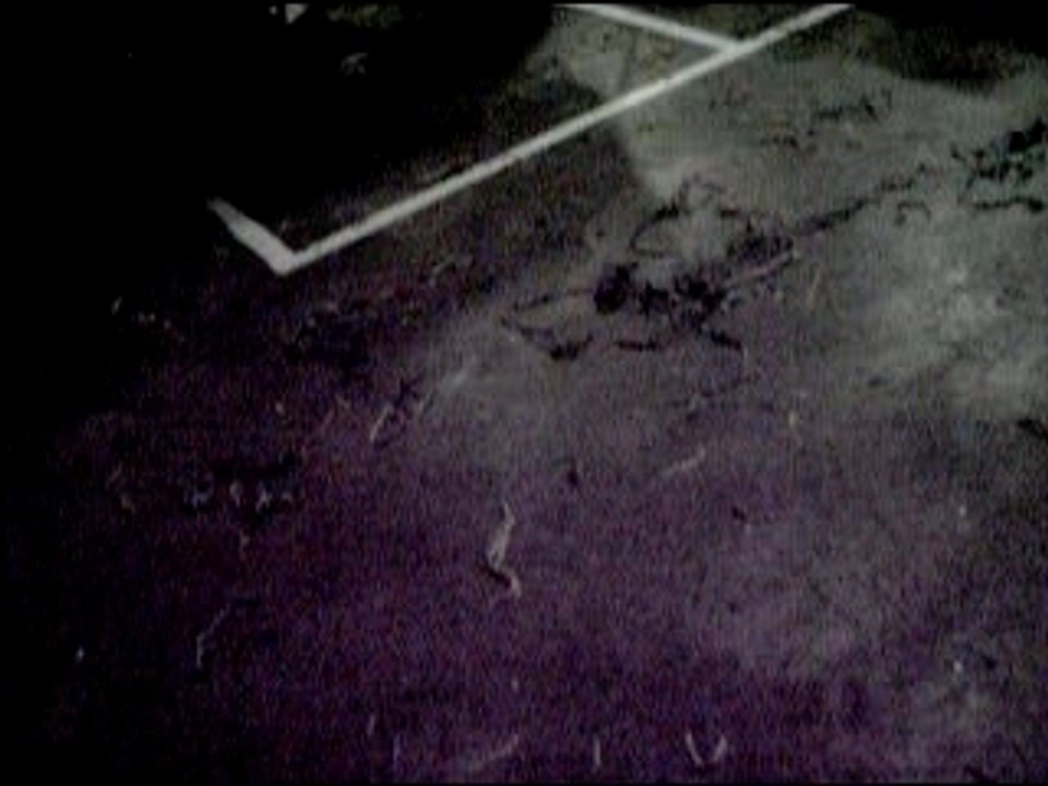 video 4