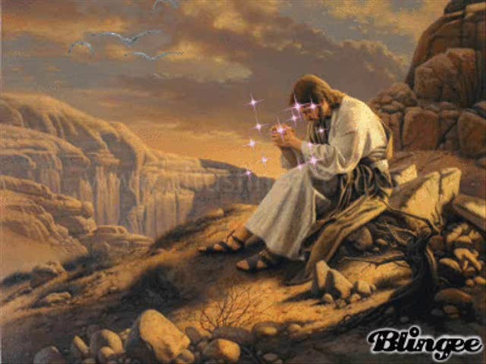 Adonai 2014