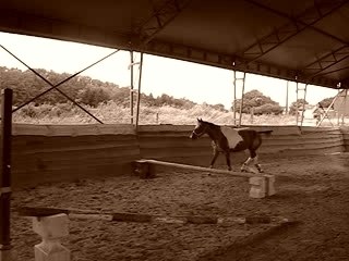 Miami Encore Saut En Liberter