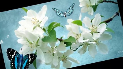 The color of innocence - white.. ...(music Giovanni Marradi)... ...