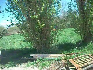 005,,,mes petits enfants