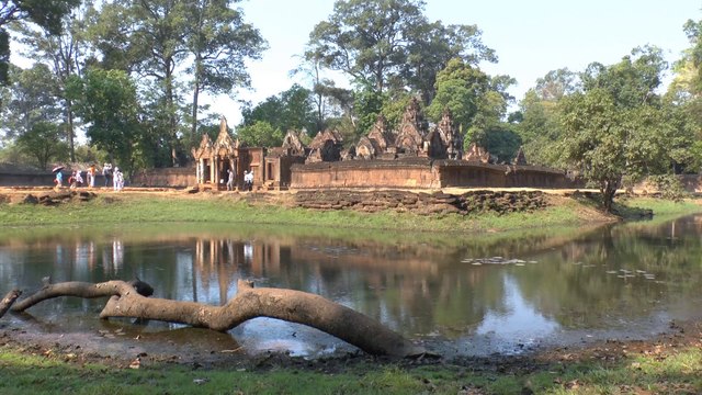 Cambodge : Ta Phrom / Angkor