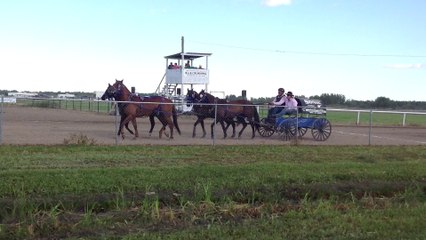 Kelvington pony Chuck wagons drive past