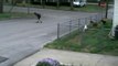Dogs watch as FedEx driver looses his job chasing his truck rolling downhill