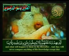اية الكرسي قراءة مؤثرة من روائع ياسر الدوسري