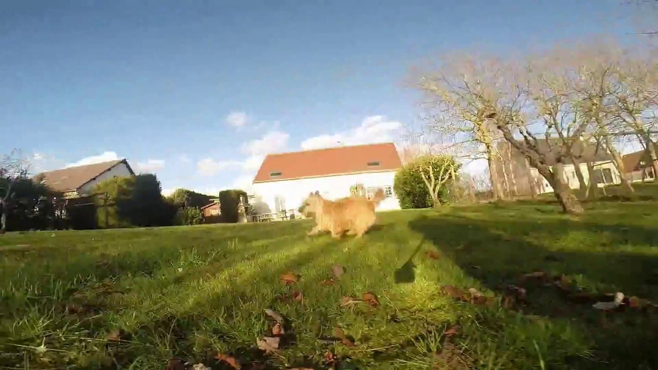 Slowmotion Enjoy