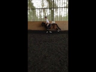 Roméo & moi sur un bel oxer d'1m10