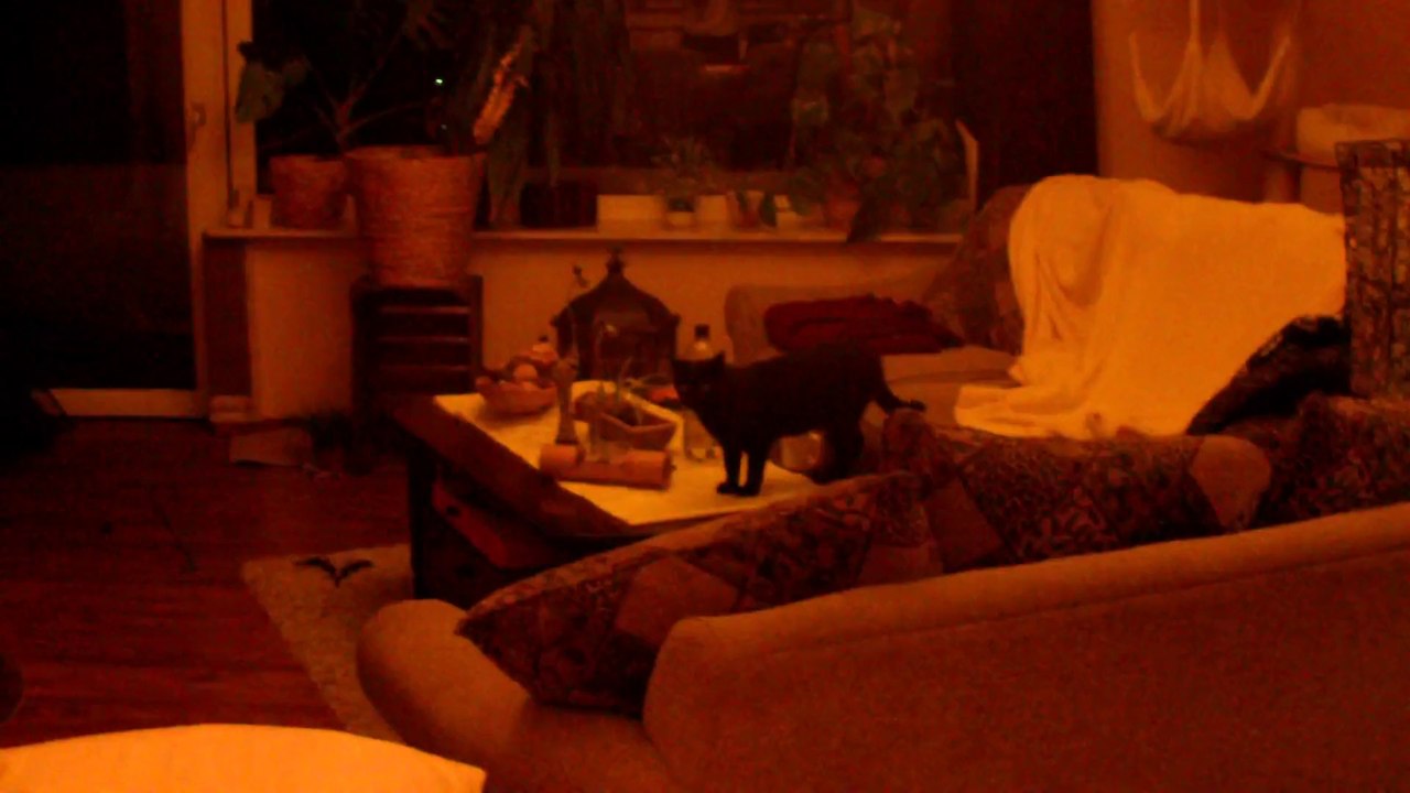 26032014 erste Spielversuche