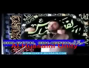 Shaheed Allama Nasir Abbas_ra Describing The Status Of Qalandar