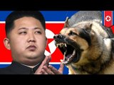 Kim Jong Un orders uncle to be fed to dogs!