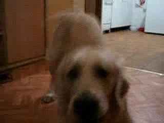 Allez stoplé on joue?