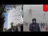 Smog-eating buildings the solution to Beijing's smog?