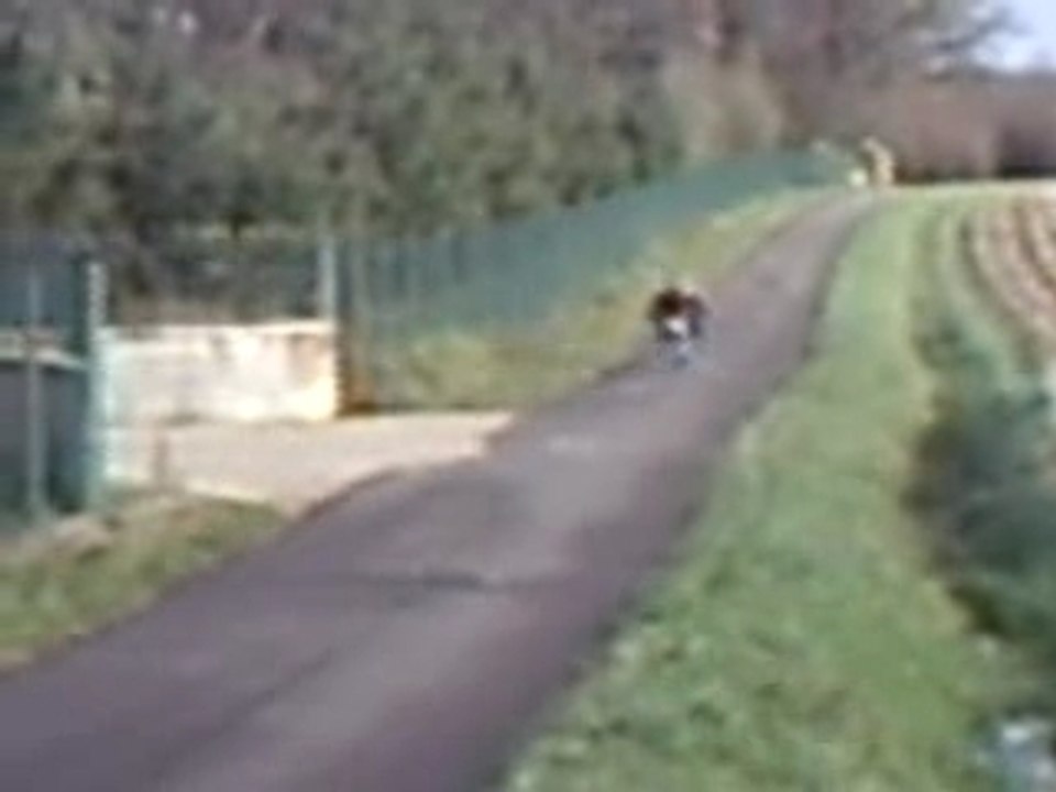 Petit tours en pocket