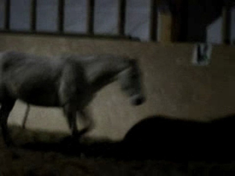 Orage, Ecuries du bout du monde