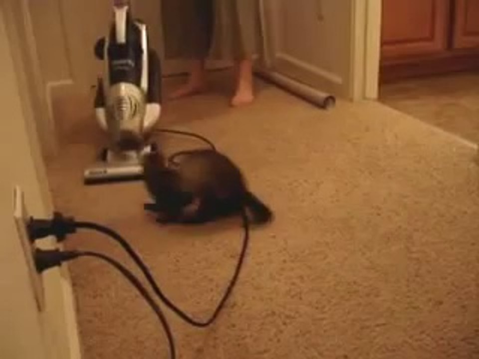 very funny Vacuum Attack