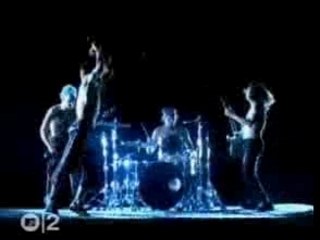 Red hot chili peppers -  by the way