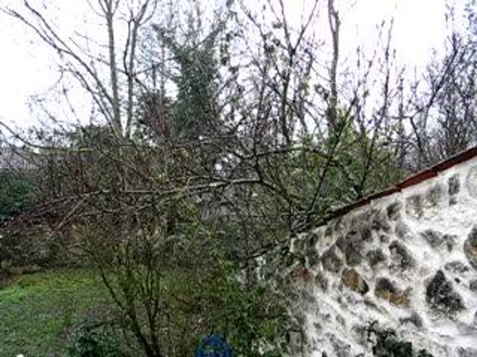 CuiCui