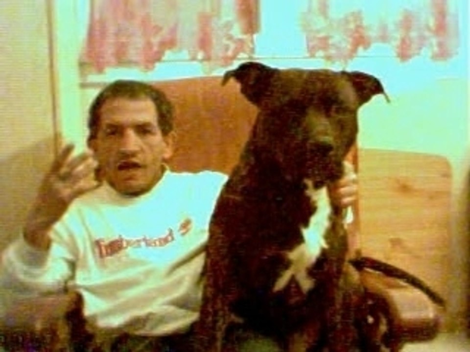 clip piwi Montana, jeune refugier