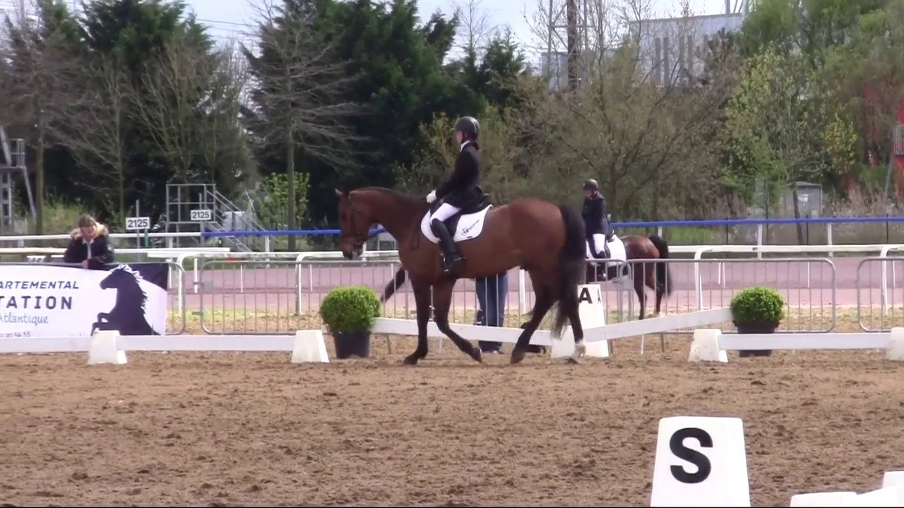 Amstrong - CL1 dressage Cordemais