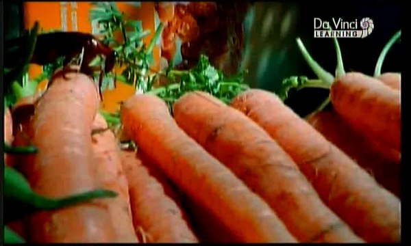 2/ natural Technologies Природни Технологии