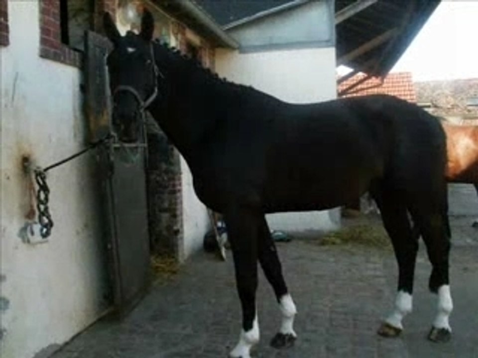 Nifty_0001