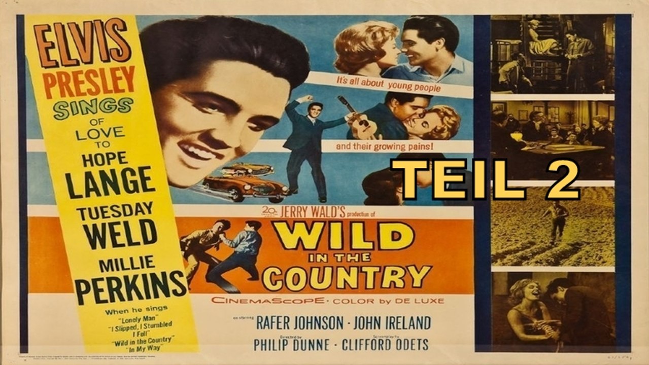 Teil 2: Lied des Rebellen ('Wild in the country')
