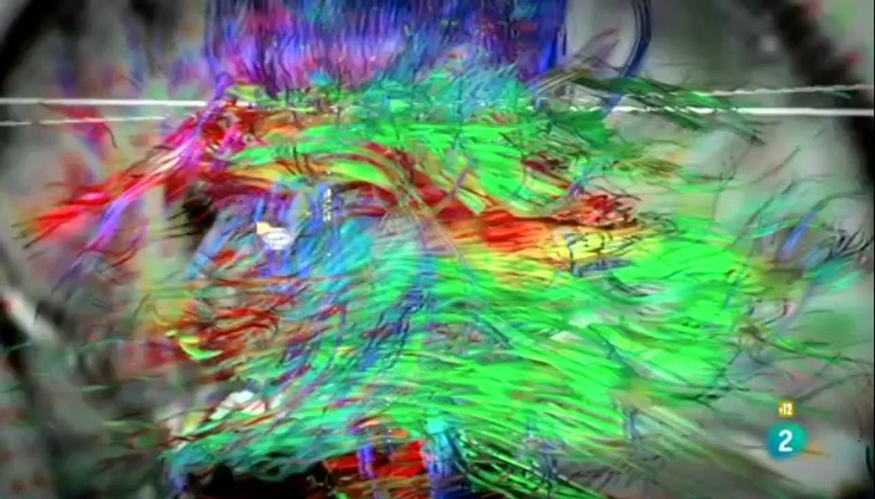 Documentos TV - La muerte silenciada. Suicidio, el último tabú, Documentos TV - RTVE.es A la Carta