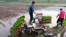 Rice Planting - Modern Machines in Cultivation