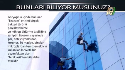 Gözyaşının içinde bulunan lizozom enziminin özellikleri