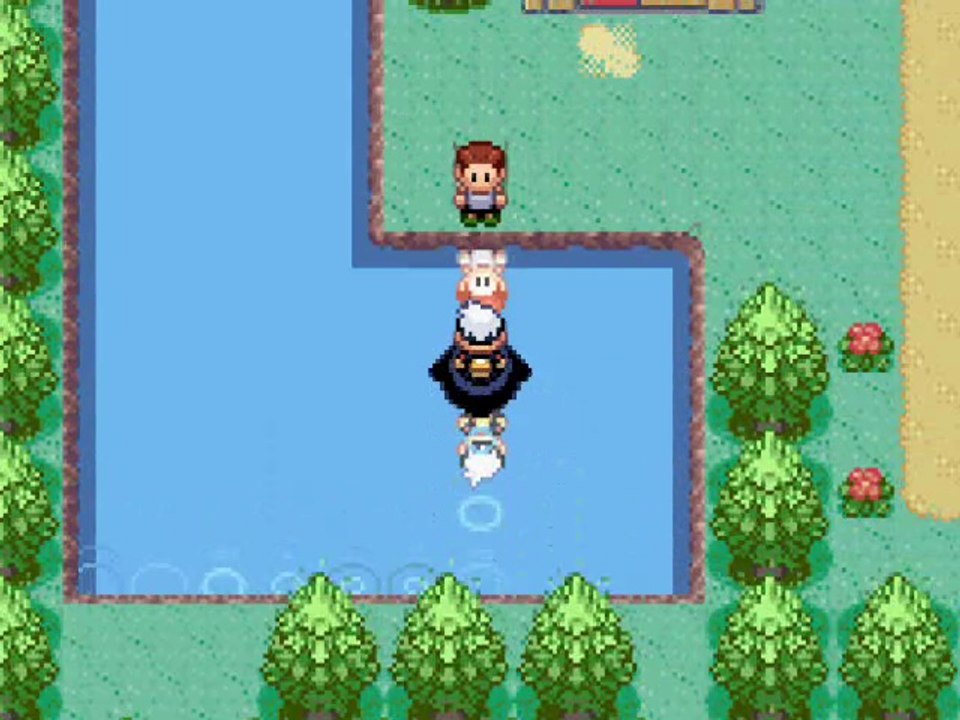 Pokémon Saphir 8) Norman